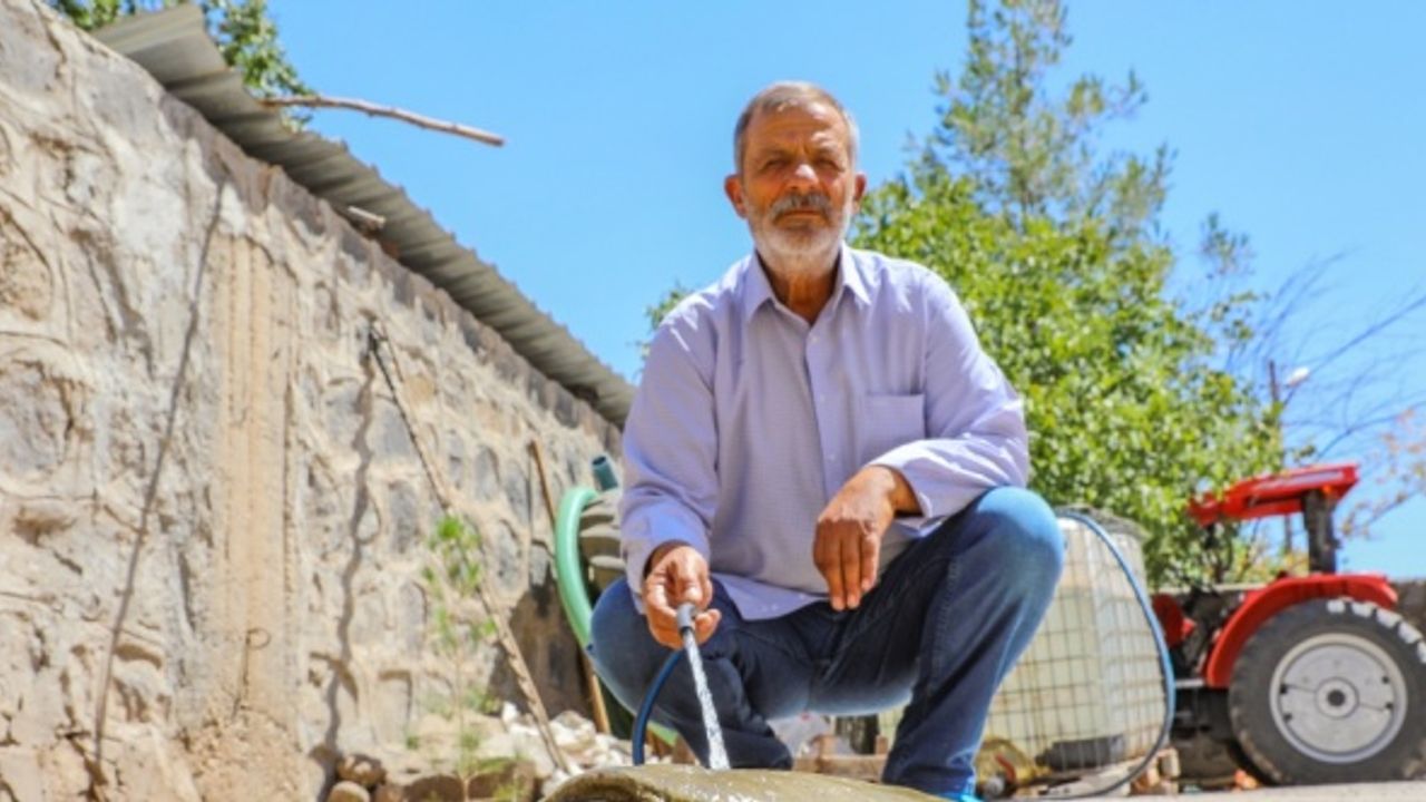 Bitkin halde bulunan Fırat kaplumbağası ekiplerin çalışmasıyla hayata döndürüldü