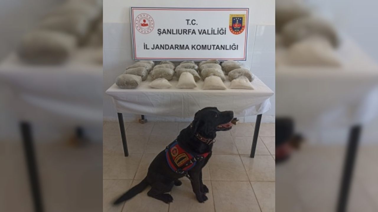 Şanlıurfa'da 21 kilogram sentetik uyuşturucu ele geçirildi