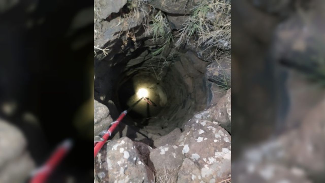 Kilis'te kuyuya düşen domuz yavrusunu itfaiye kurtardı