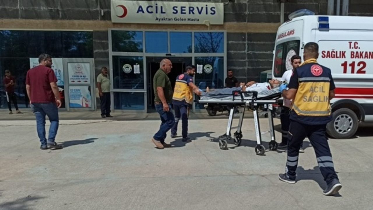 Şanlıurfa'da pamuk tarlasına devrilen otomobildeki 5 kişi yaralandı