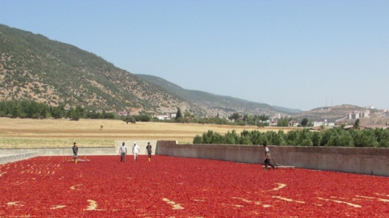 Avukatlığı bırakıp enerjisini GES'ten alan biber işleme tesisi kurdu