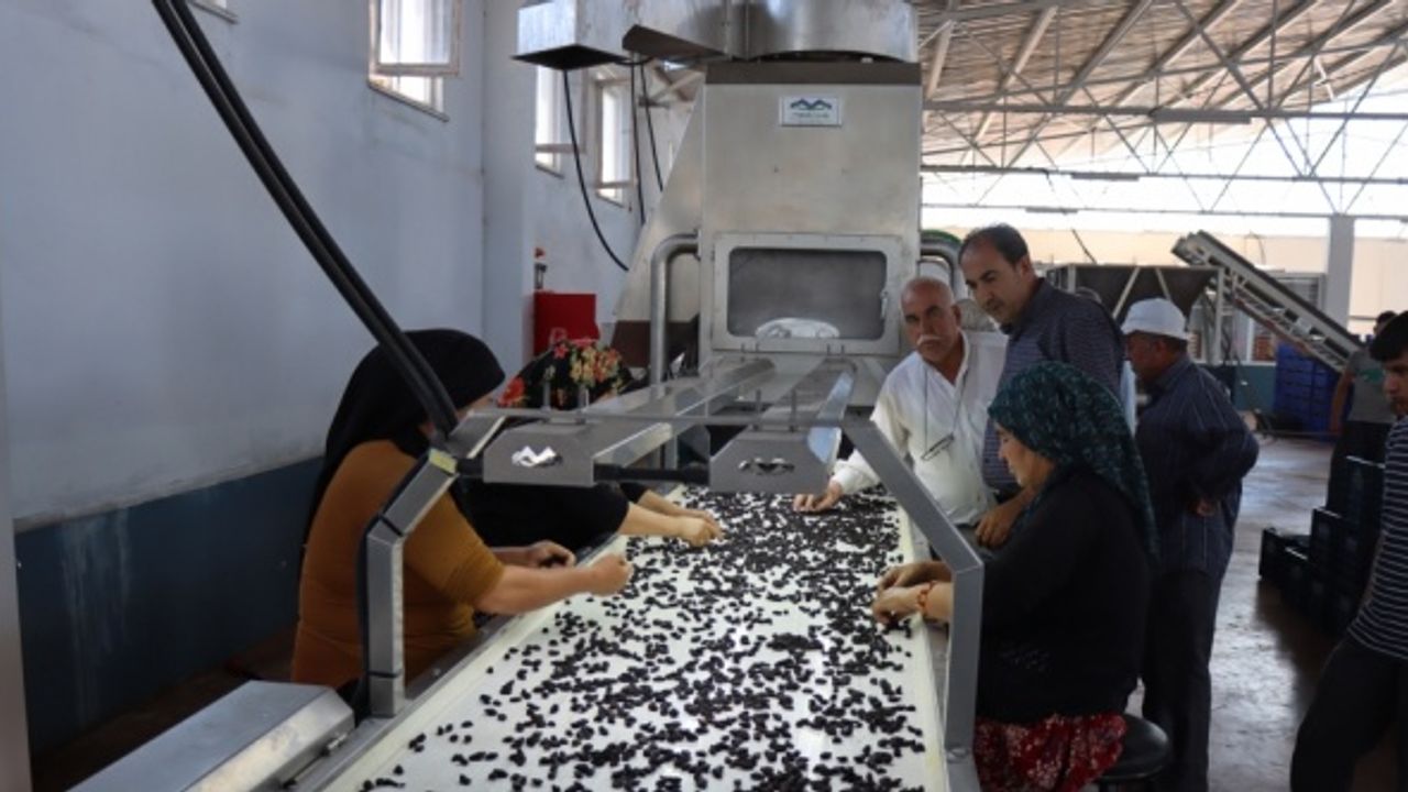 Kilis kuru üzümde kendi markasıyla dünyaya açılmayı hedefliyor