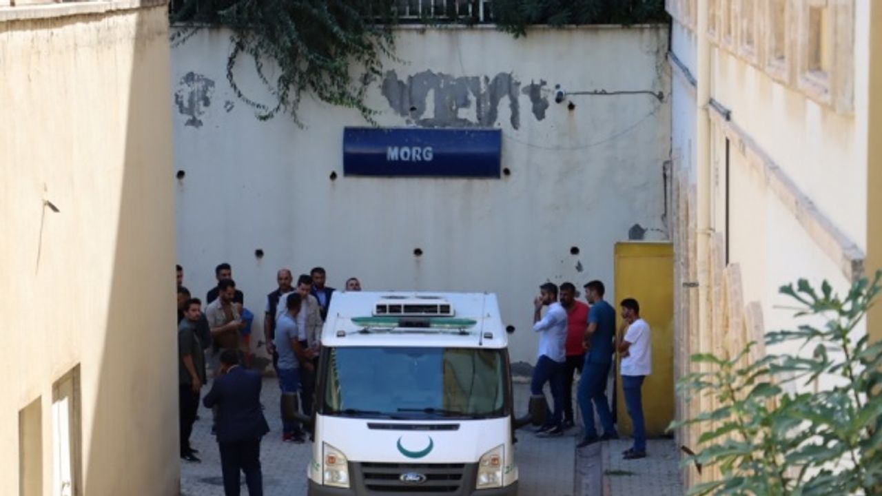 Mardin Valiliği ormanda budama işi yapan işçilere yönelik saldırıyla ilgili açıklama yaptı