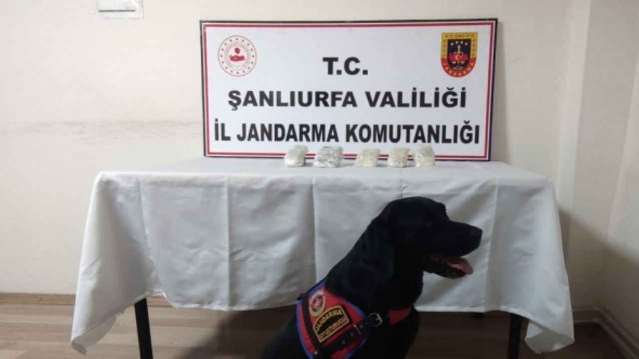 Şanlıurfa'da kaçakçılık operasyonunda 5 kişi gözaltına alındı