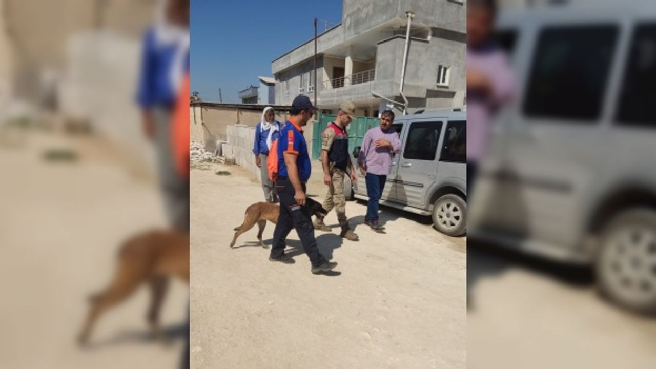 Şanlıurfa'da kaybolan çocuğu arama çalışmaları  sürüyor