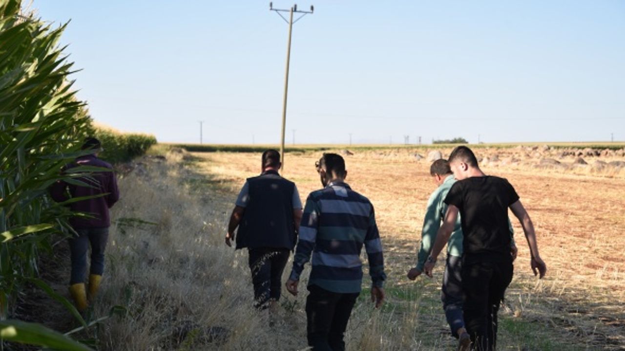Şanlıurfa'da kaybolan üniversite öğrencisi için arama çalışması başlatıldı