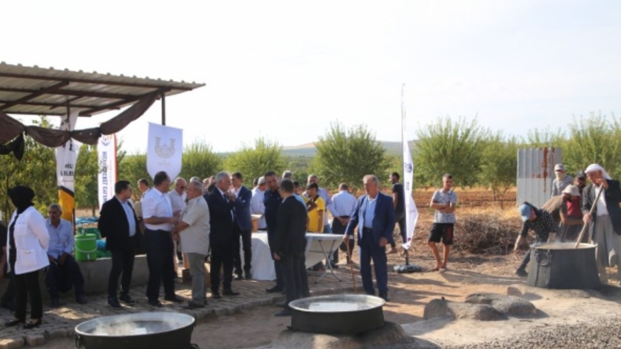 Şanlıurfa'da "Ovacık bağ bozumu ve şire festivali"