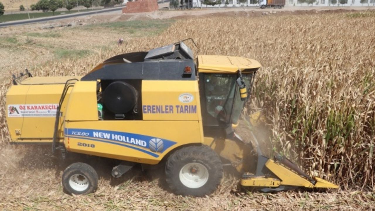 Seyyar biçerdöverciler il il gezerek hasat yapıyor