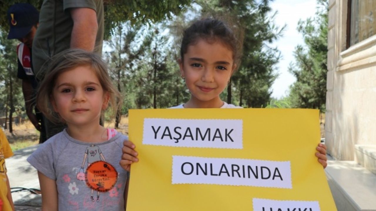 "4 Ekim Dünya Hayvanları Koruma Günü"nde farkındalık etkinlikleri düzenlendi