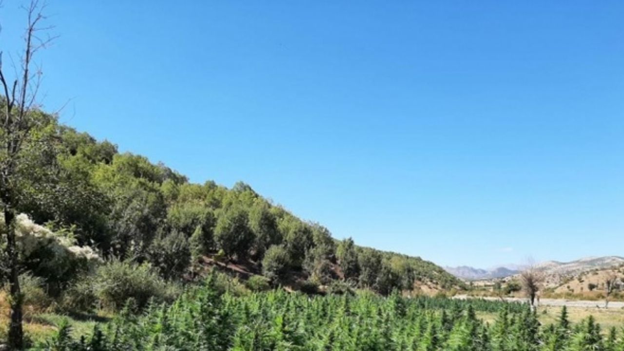 Eren Abluka Sonbahar-Kış 2 Operasyonu'nda 565 kilogram uyuşturucu ele geçirildi