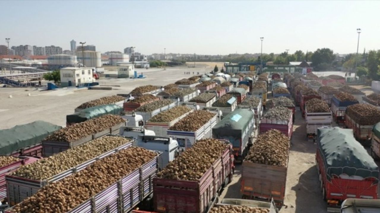 Konya Şeker'den 149 milyon 808 bin TL pancar söküm avansı