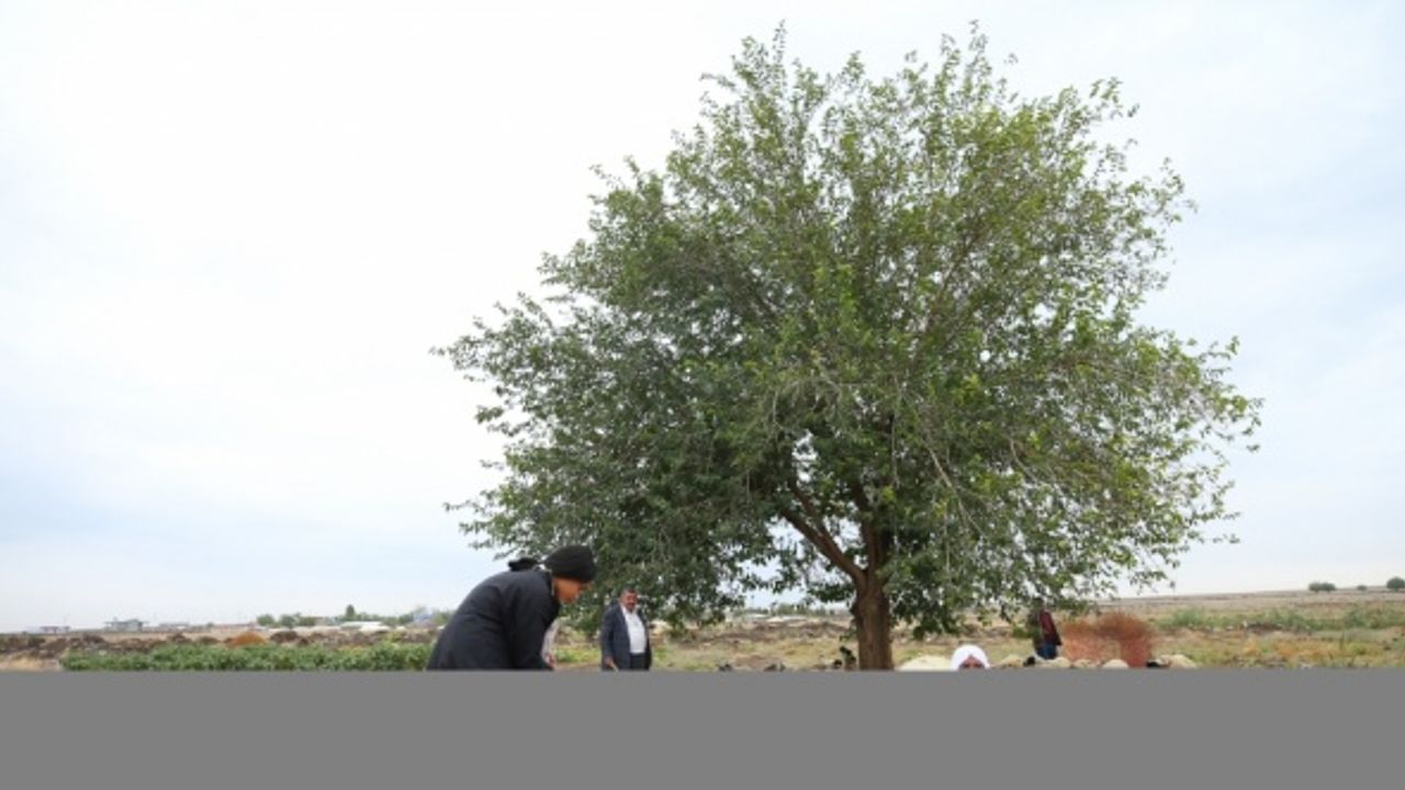 Kuyudan su çekerken keşfedilen Beritan bilek güreşinde bronz madalyanın sahibi oldu