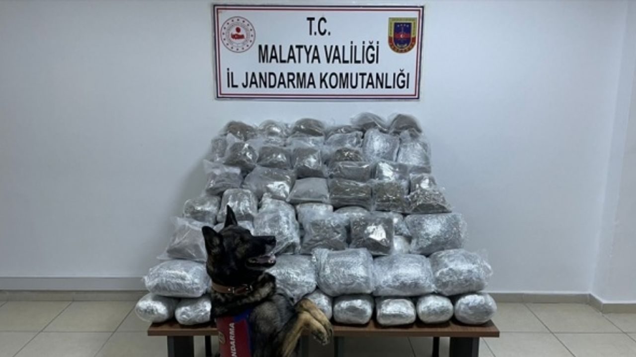 Malatya'da 83 kilo 287 gram skunk ele geçirildi