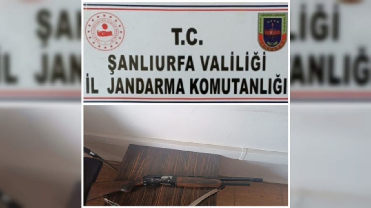 Şanlıurfa'da 102 kök Hint keneviri ile av tüfeği ele geçirildi
