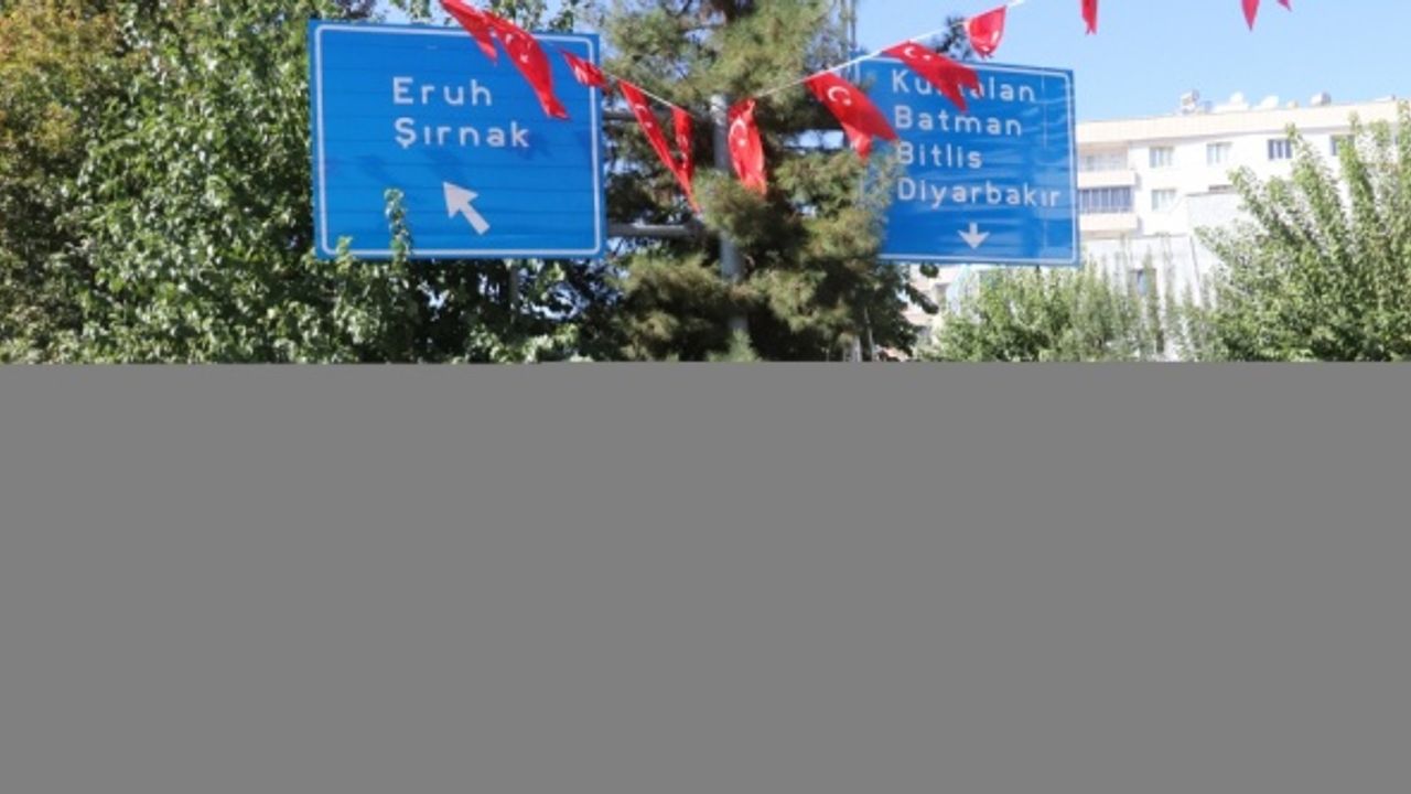 Siirt'te 29 Ekim Cumhuriyet Bayramı kutlanıyor