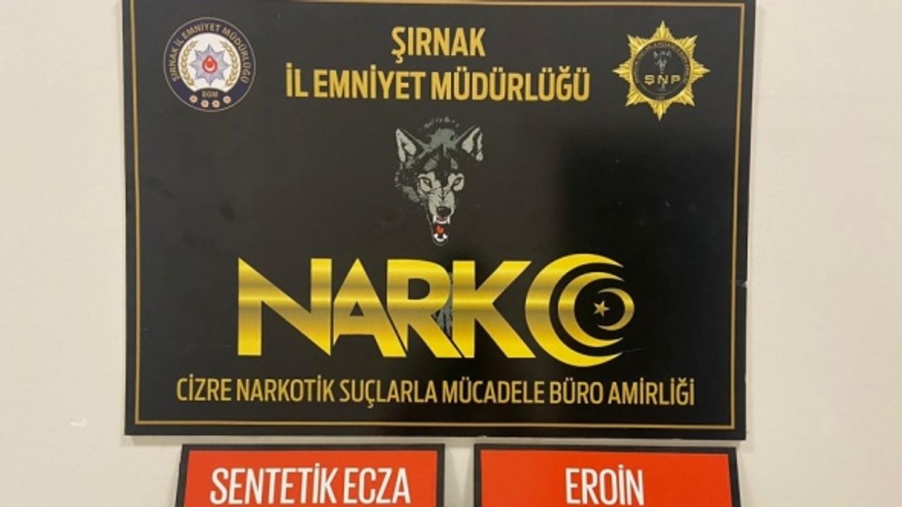 Şırnak'ta asayiş ve kaçakçılık operasyonlarında 25 kişi hakkında işlem yapıldı