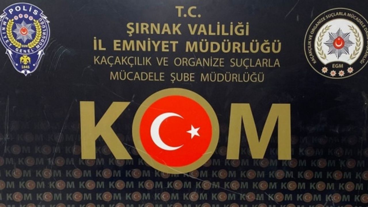 Şırnak'ta asayiş ve kaçakçılık operasyonlarında 28 kişi hakkında işlem yapıldı