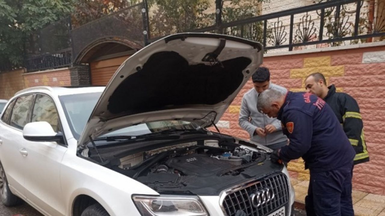 Gaziantep'te aracın motor kısmına sıkışan kediyi itfaiye kurtardı