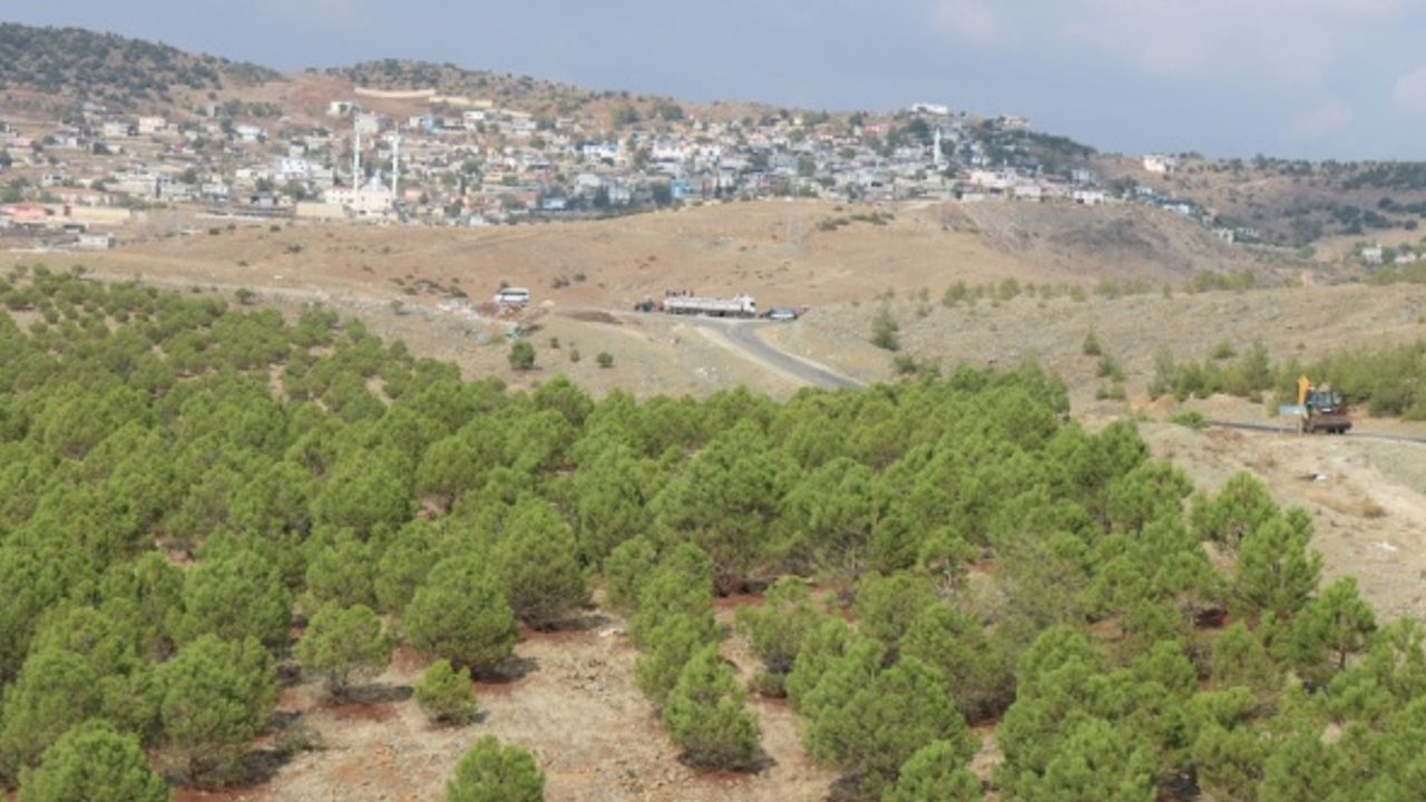 Kilis'te atıl durumdaki araziler köylüye gelir getirici ağaç türleriyle yeşeriyor