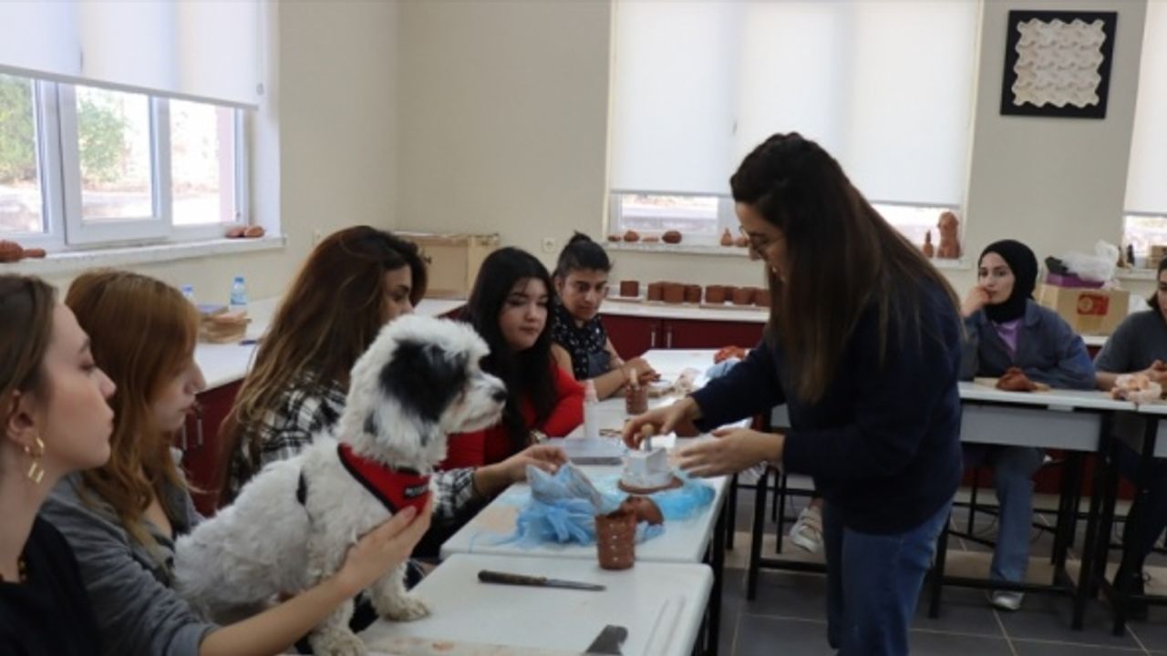 Sahipsiz köpek "Hera" güzel sanatlar fakültesinin modeli oldu