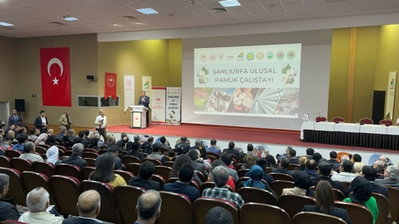 Şanlıurfa'da Ulusal Pamuk Çalıştayı başladı