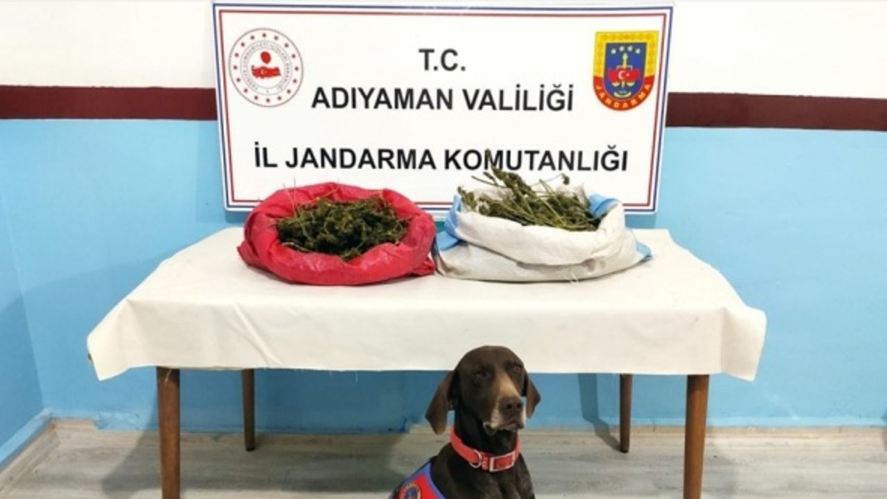 Adıyaman'da evinde 1 kilo 520 gram esrar ele geçirilen zanlı yakalandı