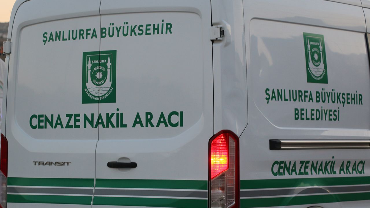 Şanlıurfa’da koyun otlatan çobana otomobil çarptı
