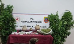 Adıyaman'da uyuşturucu operasyonunda 1 şüpheli yakalandı