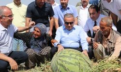 Diyarbakır'da ağırlığıyla yarışacak karpuzlarda hasat başladı
