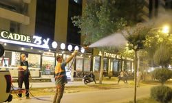 Diyarbakır'da belediye ekiplerinden ağaçlara "gece" bakımı
