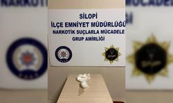 Şırnak'ta asayiş ve kaçakçılık operasyonlarında 37 şüpheli gözaltına alındı