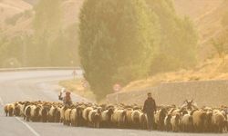 Yaz boyunca yaylalarda konaklayan göçerler eve dönüş yolculuğuna başladı