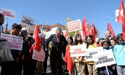 Diyarbakır ve Bingöl'de "Yayalara öncelik duruşu, hayata saygı duruşu" etkinliği yapıldı