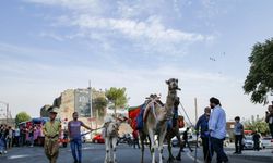 Diyarbakır'da "12. Karpuz Festivali" düzenlendi