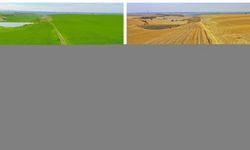 Diyarbakır'da kuraklıktan etkilenen onlarca gölet kurudu