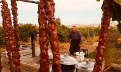 Ergani'de bağ bozumu başladı