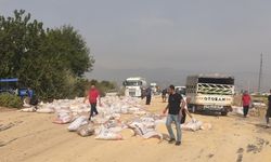 Gaziantep'te seyir halindeki tırdan düşen yem çuvalları trafiği aksattı