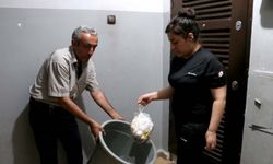 Görme engelli Mizgin, halter ve judoda Türkiye şampiyonu oldu