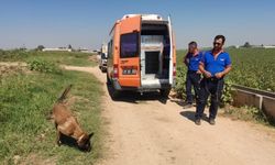 GÜNCELLEME - Şanlıurfa'da kaybolan 4 yaşındaki çocuğun cesedi bulundu