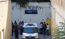 Mardin Valiliği ormanda budama işi yapan işçilere yönelik saldırıyla ilgili açıklama yaptı