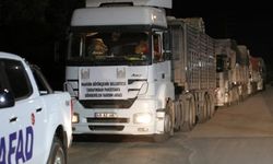 Mardin'den Pakistan'daki sel bölgesine 80 ton gıda yardımı