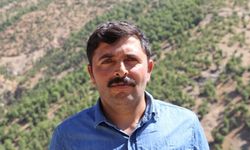 Propolis Siirtli arıcılar için ek gelir oldu