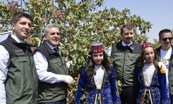 Şanlıurfa Büyükşehir Belediye Başkanı Beyazgül, fıstık hasadına katıldı