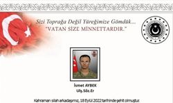 Şanlıurfa Valiliği: Hudut karakoluna düzenlenen hain saldırıda bir asker şehit oldu, bir asker yaralandı