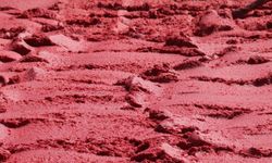 Şanlıurfa'da "isot reçeli" sezonu başladı