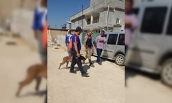 Şanlıurfa'da kaybolan çocuğu arama çalışmaları  sürüyor