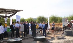 Şanlıurfa'da "Ovacık bağ bozumu ve şire festivali"
