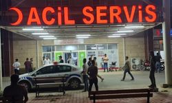 Şanlıurfa'da su birikintisine düşen 2 çocuk boğuldu
