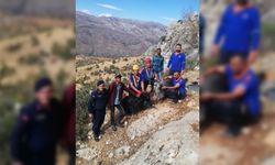 Adıyaman'da sarp kayalıklarda mahsur kalan 2 keçi kurtarıldı