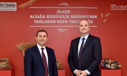Aliağa bisküvilik buğdayı Ülker ürünleriyle buluştu